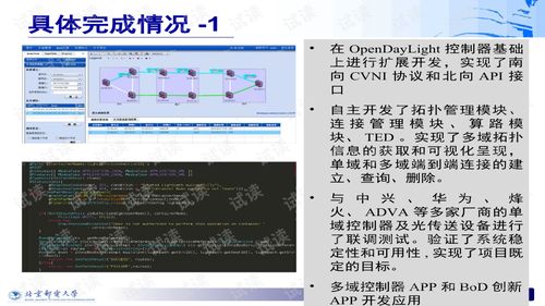 软件定义光网络 sdon 原型系统开发与演示 项目初验汇报